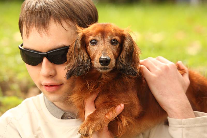 blind young man with guide Dachshund dog