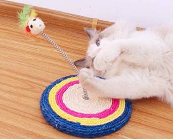 cat playing with hemp toy