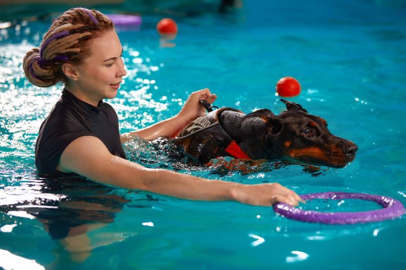 coach with dog on rehab doing hydrotherapy