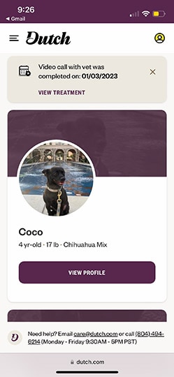 coco's profile on dutch