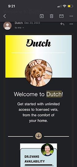 email from dutch