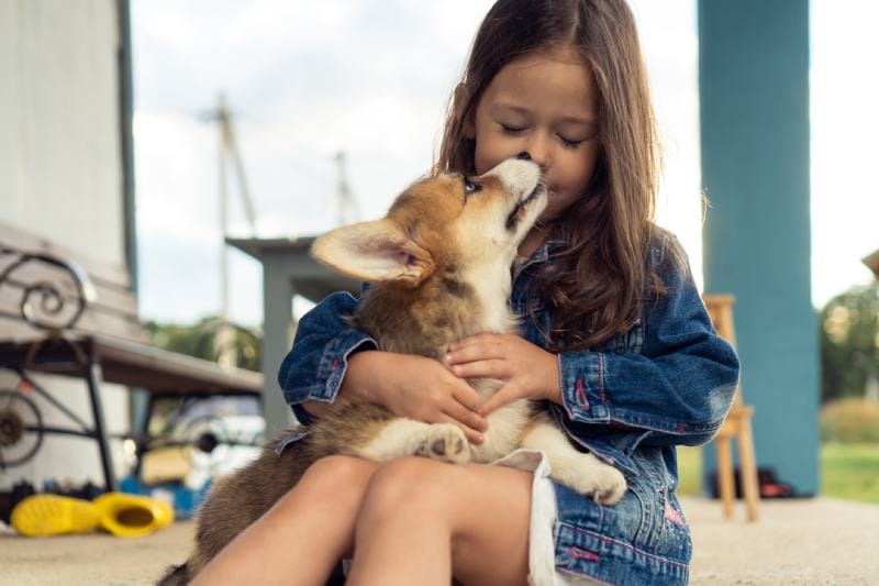 girl hug and kissing a corgi dog