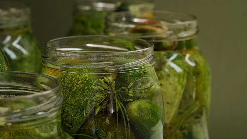 glass jars filled with fresh cucumbers,dill,garlic and black pepper and poured with brine