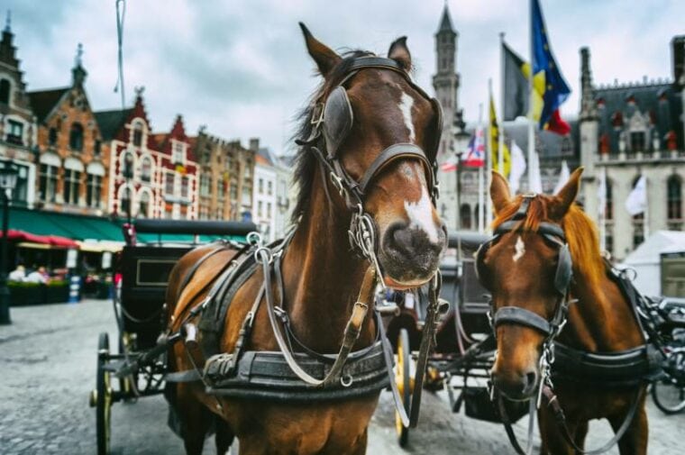 horse drawn carriages in bruges belgium