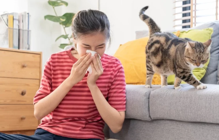 woman sneezing into tissue because of allergy to cats