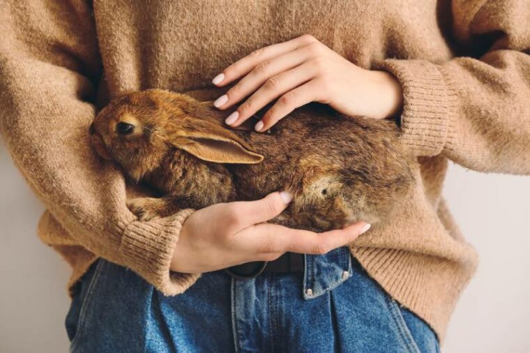 young woman with cute rabbit