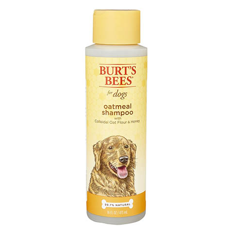 Burt's Bees Oatmeal Shampoo with Colloidal Oat Flour & Honey