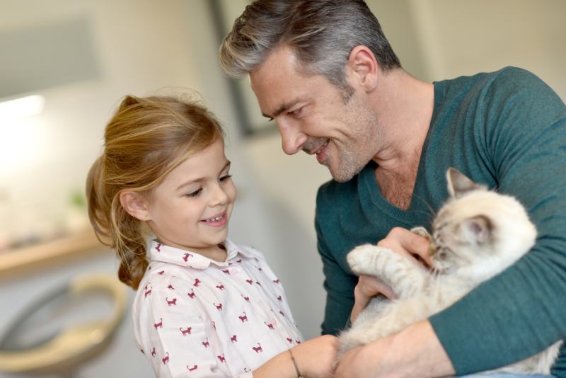 Daddy with little girl petting cat at home