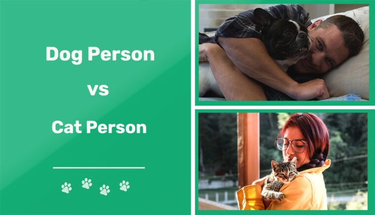 Persona perro vs persona gato