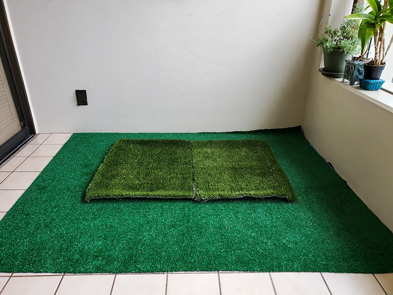 Dog grass pee pads for potty training a puppy at home or apartment