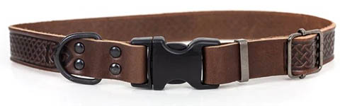 Euro-Dog Celtic Sport Style Luxury Leather Dog Collar