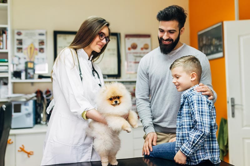 Father and son with their Pomeranian dog at veterinary.
