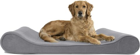 FurHaven Microvelvet Luxe Lounger Orthopedic Cat & Dog Bed with Removable Cover