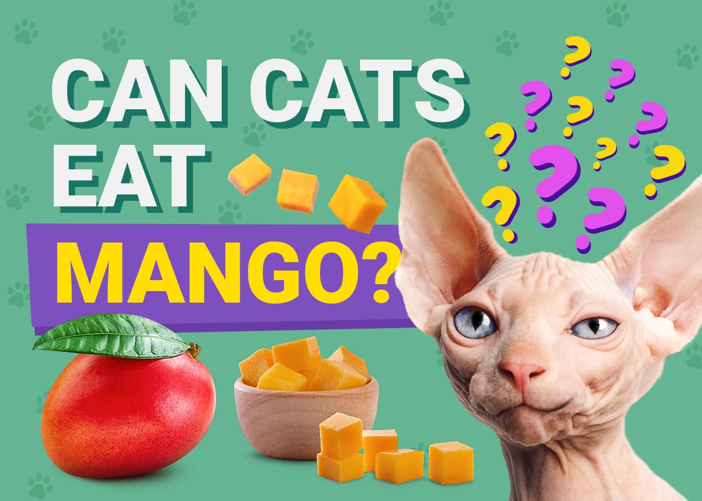 are mangoes safe for pet dogs or cats