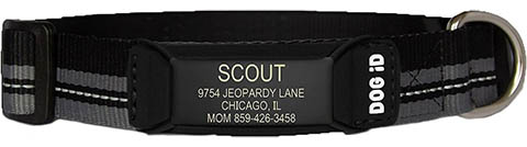 ROAD iD The Rock Solid Personalized ID Tag Dog Collar