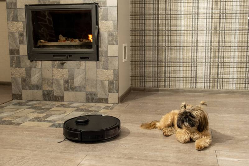 Shih tzu dog lies calmly near black robotic vacuum cleaner in light cozy room with fireplace