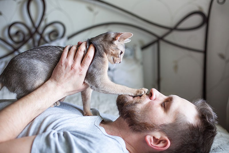 bearded man playing with his cat