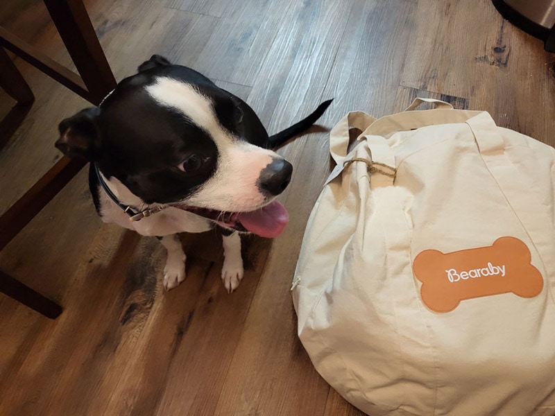 bolt sitting next to the bearaby pupper pod bag