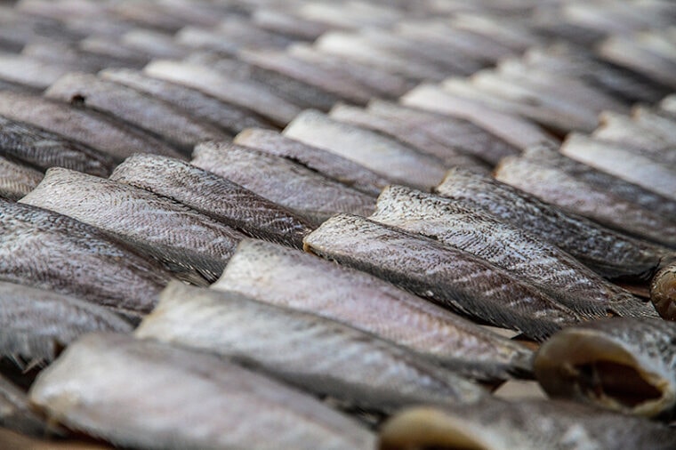 drying mackerels