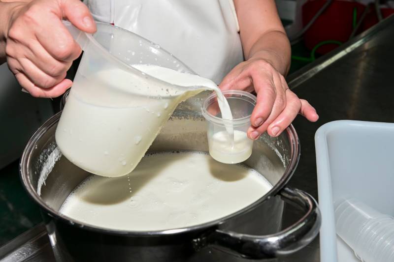 elaboration of natural yogurt with goat's milk