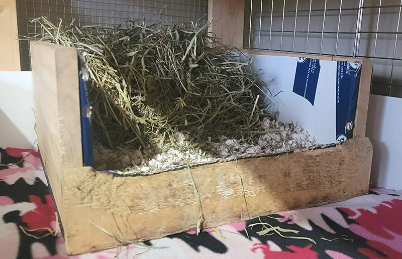 healthy pet carefresh paper bedding in the cage