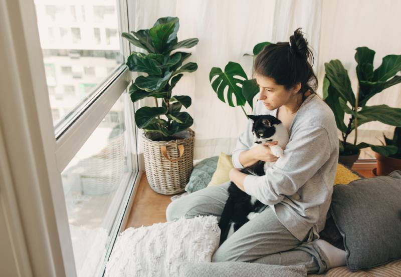 sad girl hugging cute cat, sitting together at home