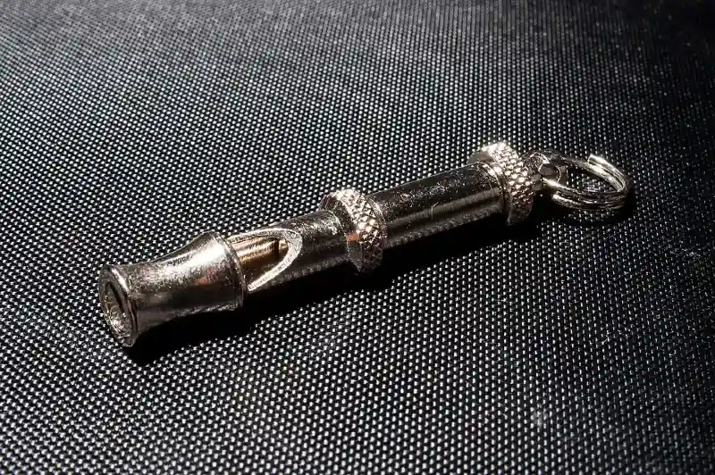 silver dog whistle