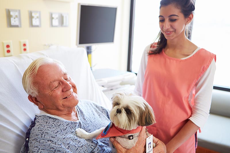 therapy dog visiting senior male patient