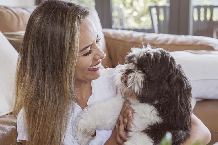 woman and her pet shih tzu dog at home