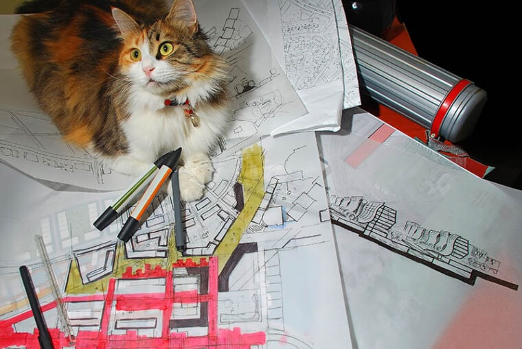 A cat sitting on architectural sketches of an urban project