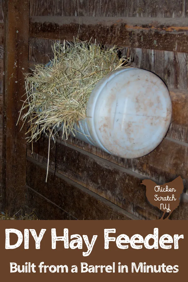 10 DIY Horse Hay Feeders You Can Build Today (With Pictures)