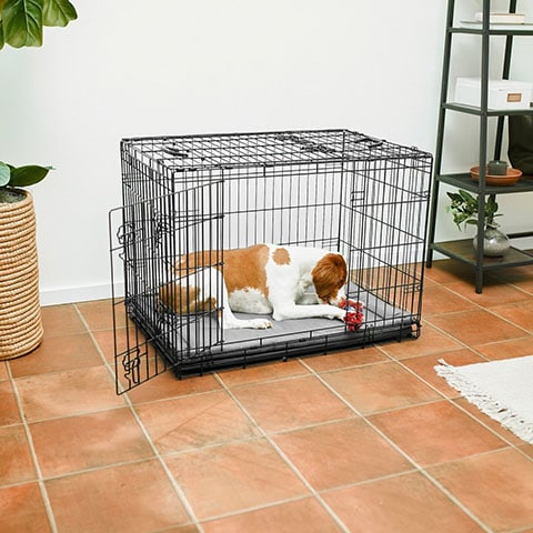 Frisco Heavy Duty All-in-1 Multi-Stage 3 Door Collapsible Wire Dog Crate