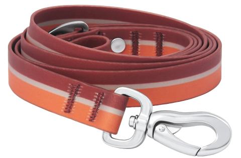 Frisco Outdoor Two-Toned Waterproof Stink Proof PVC Dog Leash