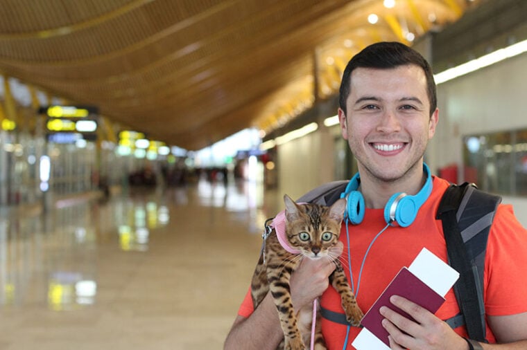 Handsome man traveling with his cat