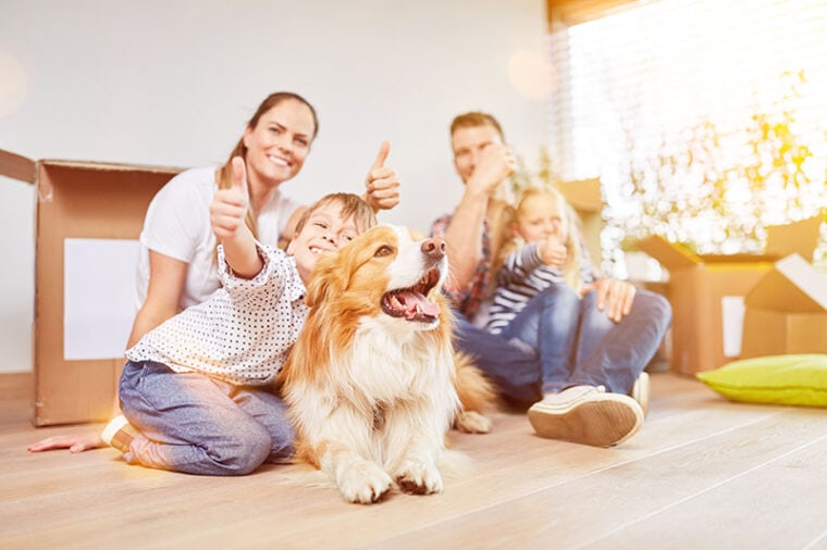 Happy family with two kids and dog holds thumbs up in new home