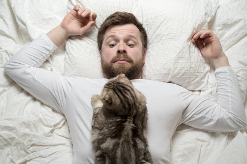Man in white pajamas was awakened by beloved cat, who lay sleeping on chest