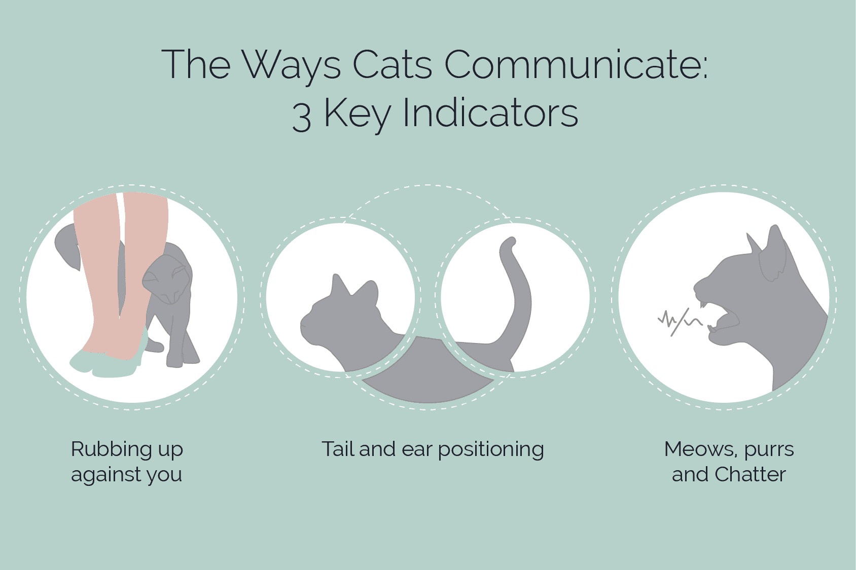 PK_cat_communication