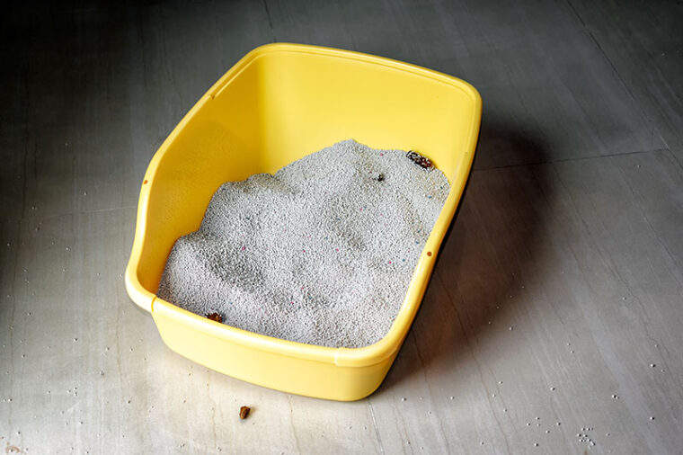 Smelly and Messy Hard to Clean Cat Litter Box