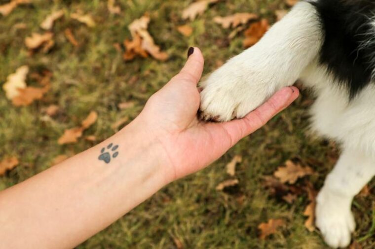 detail picture of holding hand and dogs paw