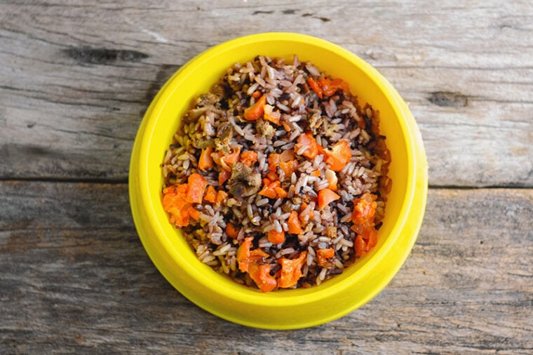 Homemade brown rice dog food on a feeding bowl