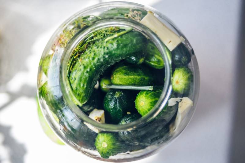 inside a pickles jar