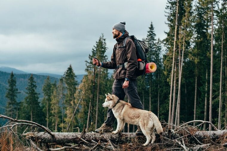 male hiker with siberian husky dog