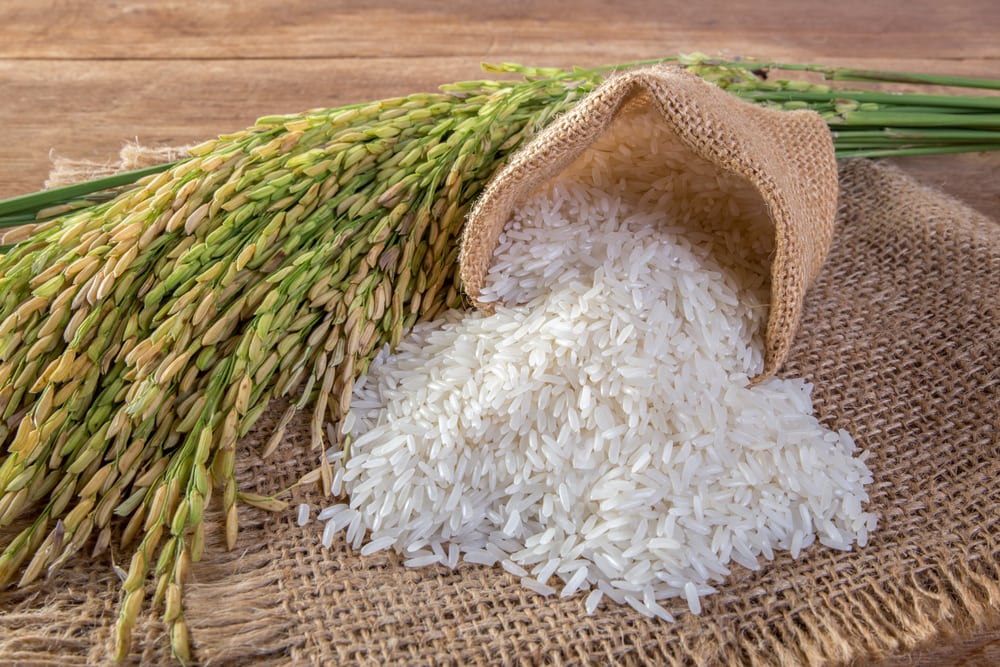 White rice (Jasmine rice)
