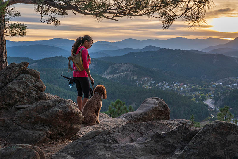 woman is hiking with a dog, in the Rocky Mountains, of Colorado