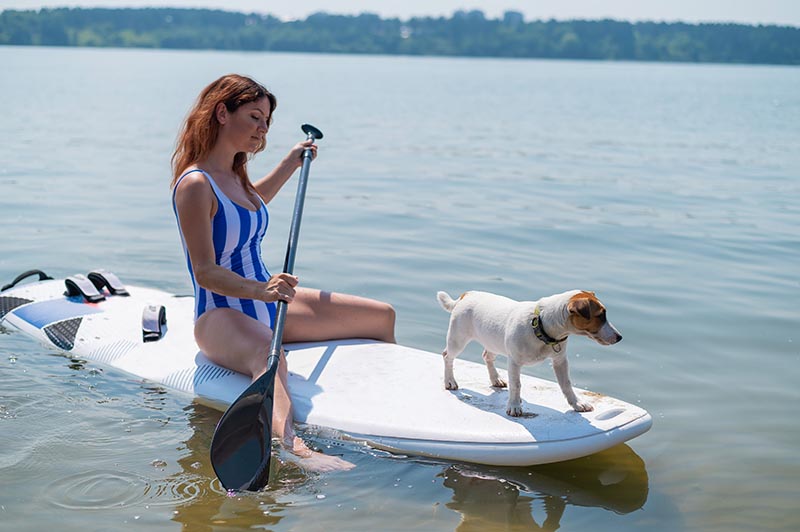 woman riding a surfboard with a dog