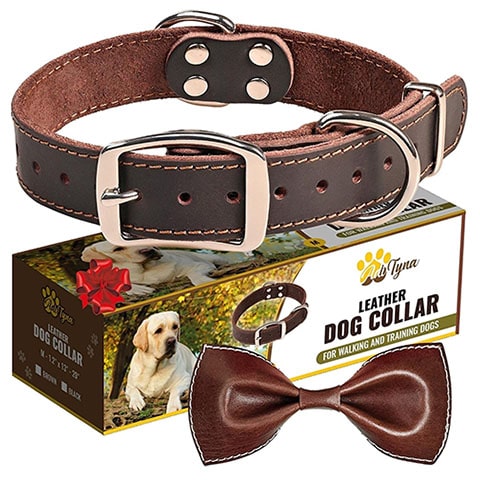 ADITYNA Heavy Duty Leather Dog Collar for Medium Dogs 1