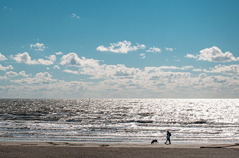Couple walking their dog on the beach on Galveston island