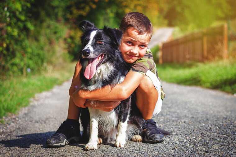 Cute boy hugs his border collie on the road