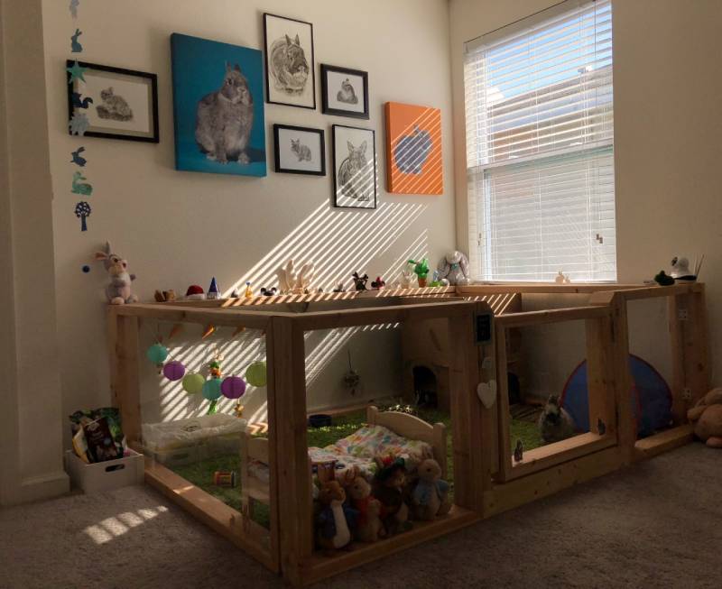 10 Free DIY Rabbit Playpens You Can Build Today (With Pictures) | Pet Keen
