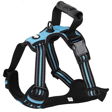 EliteField Padded Reflective No Pull Dog Harness